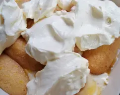 Step <p>Remojar brevemente la mitad de los bizcochos de soletilla en el zumo de naranja, lo justo para que se empapen sin romperse, y vaya colocándolos en el fondo de una fuente rectangular (23x15x8). Extender la mitad de la mezcla de mascarpone sobre la base de bizcochos. Remojar los bizcochos restantes, colocarlos sobre la crema y cubrir con el resto de la mezcla de mascarpone. Cubrir con film transparente y meterlo en el frigorífico 5 horas. Espolvorear con el cacao en polvo y decorar con la piel de naranja en tiritas, cortar, servir</p> illustration