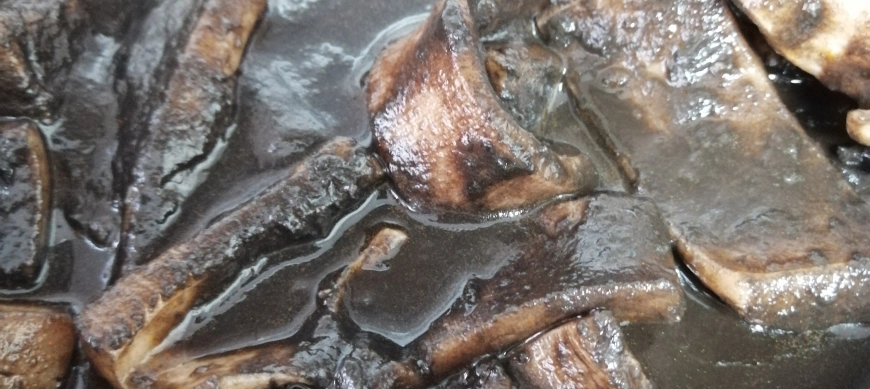 Calamares en su tinta (TM6)