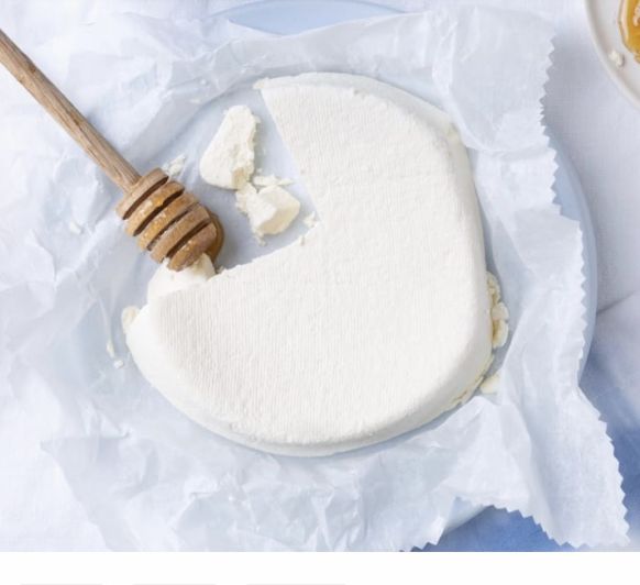 1/6 MODO FERMENTAR TM6 - QUESO FRESCO
